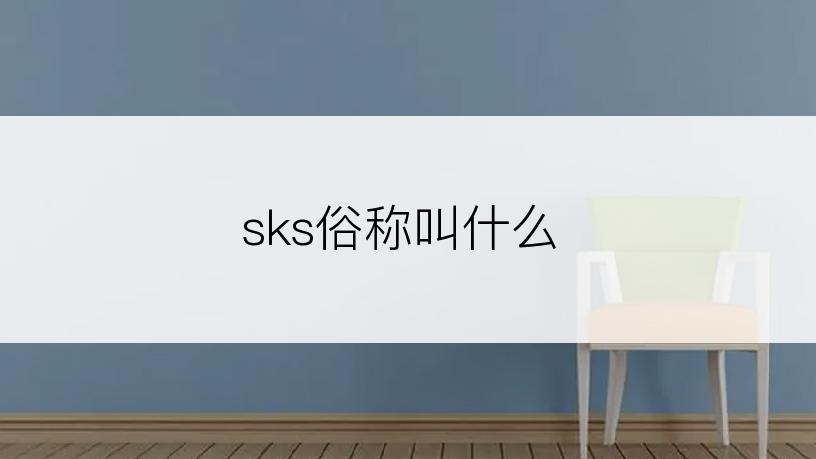 sks俗称叫什么