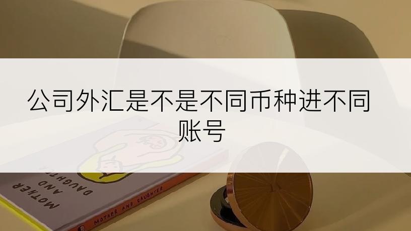 公司外汇是不是不同币种进不同账号