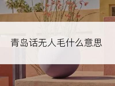 青岛话无人毛什么意思