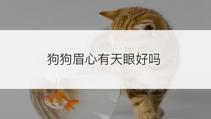 狗狗眉心有天眼好吗