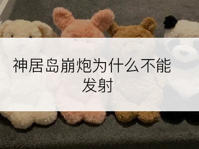 神居岛崩炮为什么不能发射