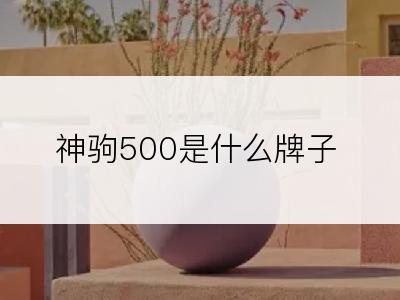 神驹500是什么牌子