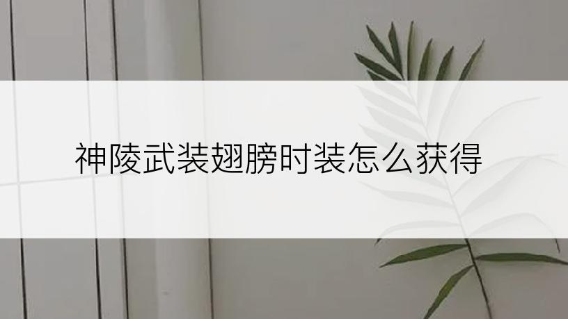 神陵武装翅膀时装怎么获得