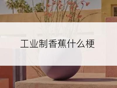 工业制香蕉什么梗