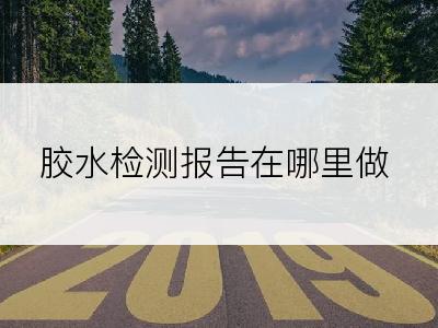 胶水检测报告在哪里做