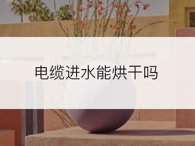 电缆进水能烘干吗