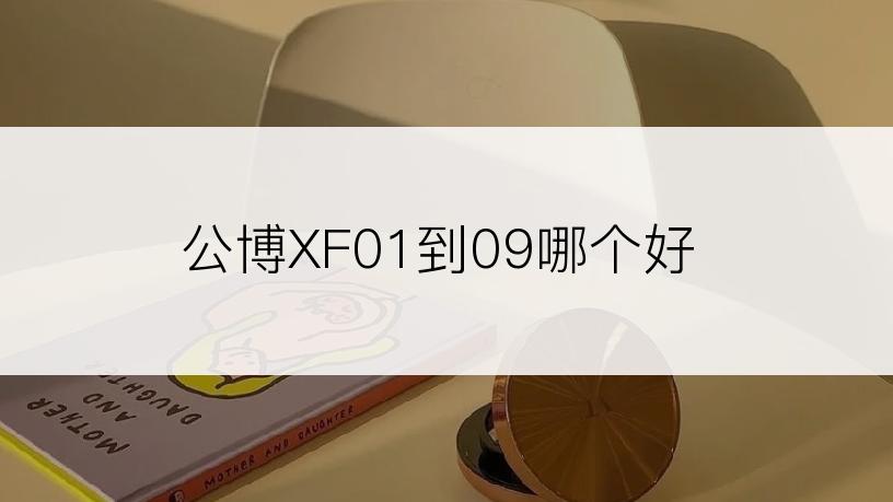 公博XF01到09哪个好