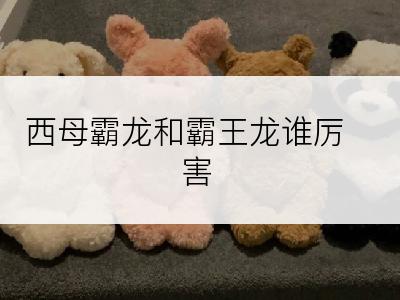 西母霸龙和霸王龙谁厉害