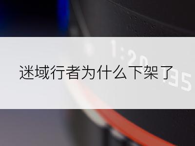 迷域行者为什么下架了