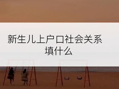 新生儿上户口社会关系填什么