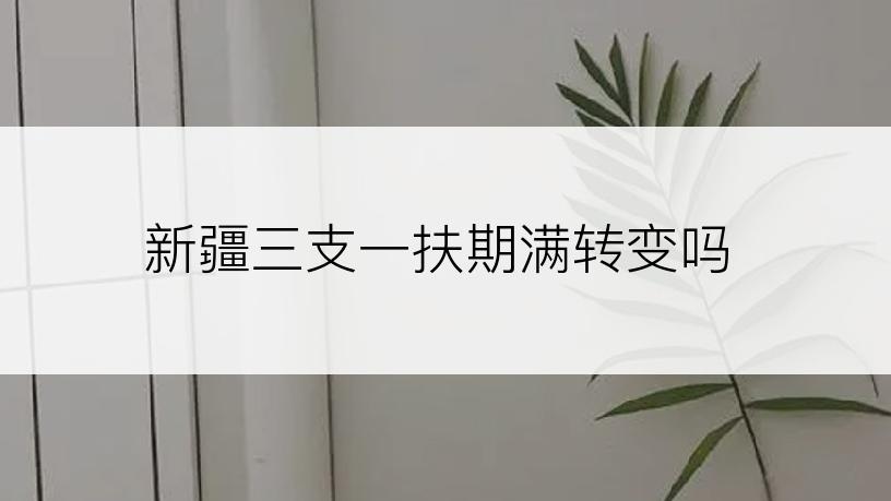 新疆三支一扶期满转变吗