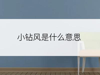 小钻风是什么意思