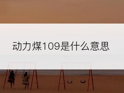 动力煤109是什么意思