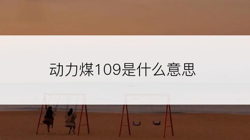 动力煤109是什么意思