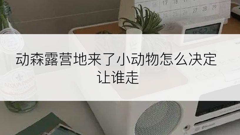 动森露营地来了小动物怎么决定让谁走