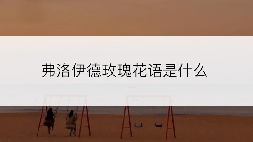 弗洛伊德玫瑰花语是什么