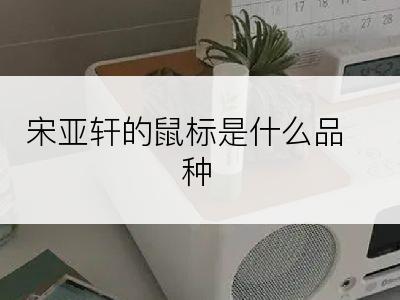 宋亚轩的鼠标是什么品种