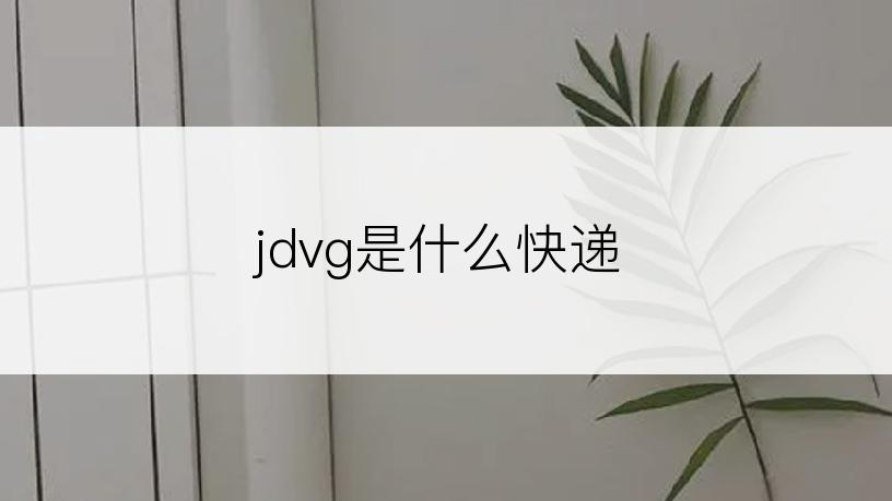 jdvg是什么快递