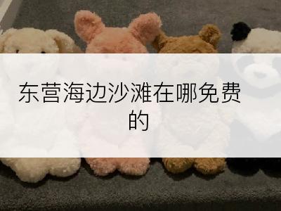 东营海边沙滩在哪免费的