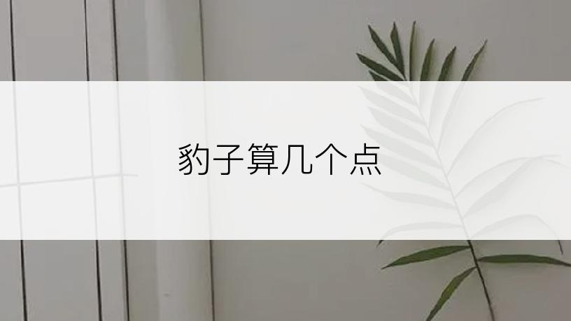 豹子算几个点