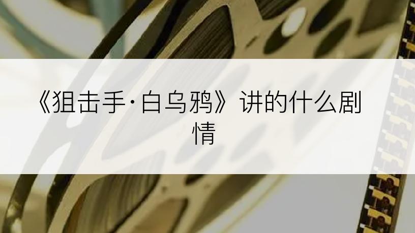 《狙击手·白乌鸦》讲的什么剧情