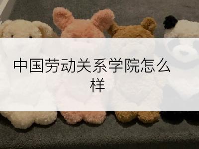 中国劳动关系学院怎么样