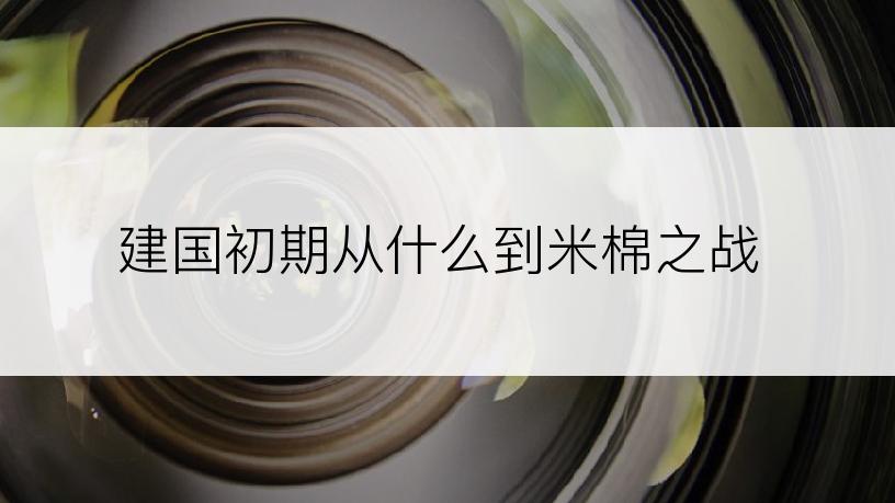 建国初期从什么到米棉之战