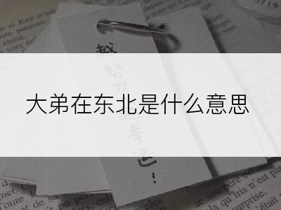 大弟在东北是什么意思