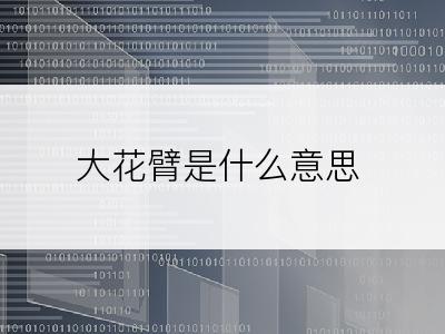 大花臂是什么意思