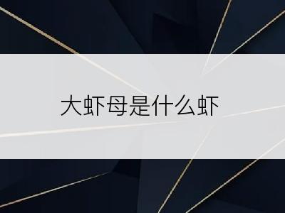 大虾母是什么虾