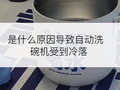 是什么原因导致自动洗碗机受到冷落