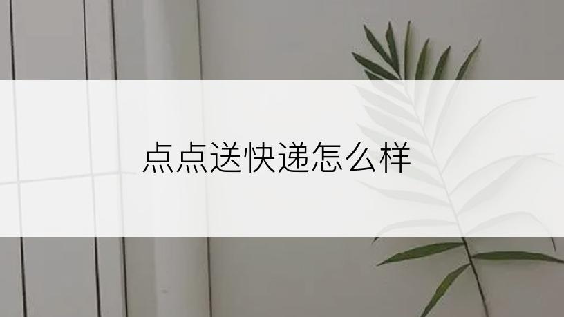 点点送快递怎么样