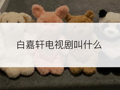 白嘉轩电视剧叫什么