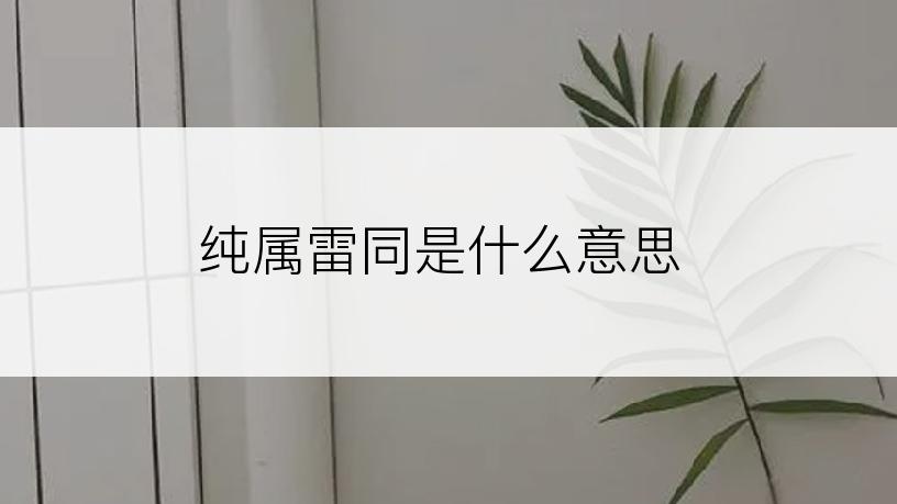 纯属雷同是什么意思