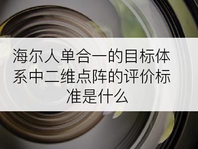 海尔人单合一的目标体系中二维点阵的评价标准是什么