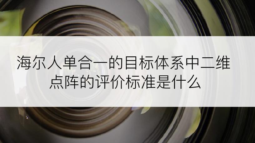 海尔人单合一的目标体系中二维点阵的评价标准是什么