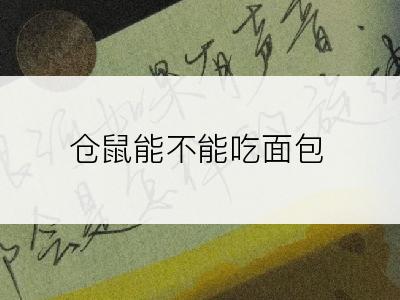 仓鼠能不能吃面包