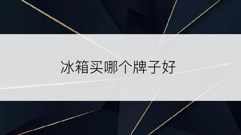 冰箱买哪个牌子好