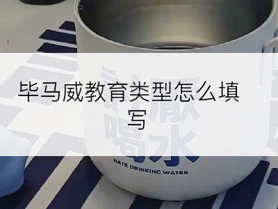 毕马威教育类型怎么填写