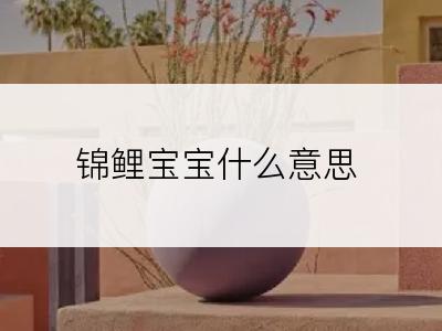 锦鲤宝宝什么意思