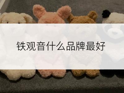 铁观音什么品牌最好