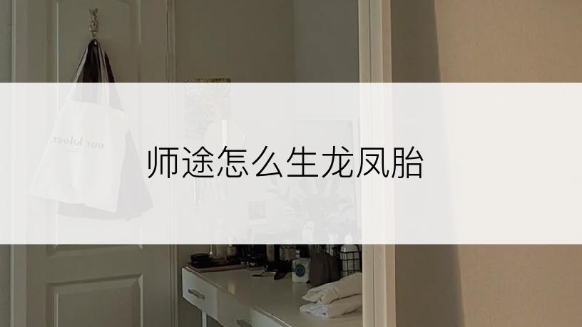 师途怎么生龙凤胎