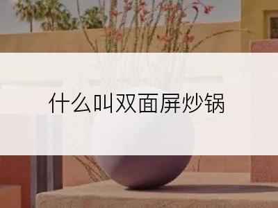 什么叫双面屏炒锅