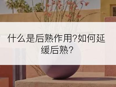 什么是后熟作用?如何延缓后熟?