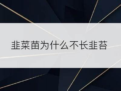 韭菜苗为什么不长韭苔