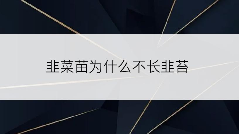 韭菜苗为什么不长韭苔