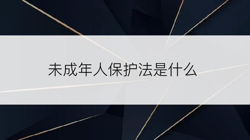 未成年人保护法是什么