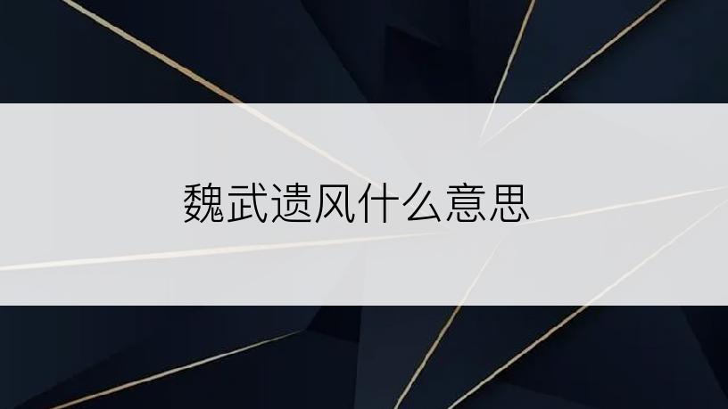 魏武遗风什么意思