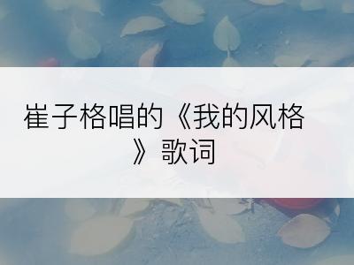 崔子格唱的《我的风格》歌词