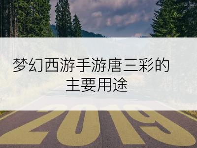 梦幻西游手游唐三彩的主要用途